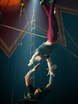 Flying trapeze Heroes на свадьбу от Show Obertaeva 3
