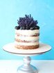 Голый торт, Крем / Сливки Одноярусные 1 от Авторская кондитерская Beze
