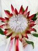 Монобукет из одного вида цветов, Необычный name от Букет Маркет 4