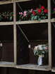 Шебби шик, Бохо в Шатер от Студия декора и флористики Passage decor 9
