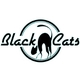 Кавер-группа Black Cats