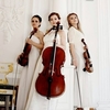 Violante orchestra