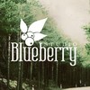 Blueberry studio