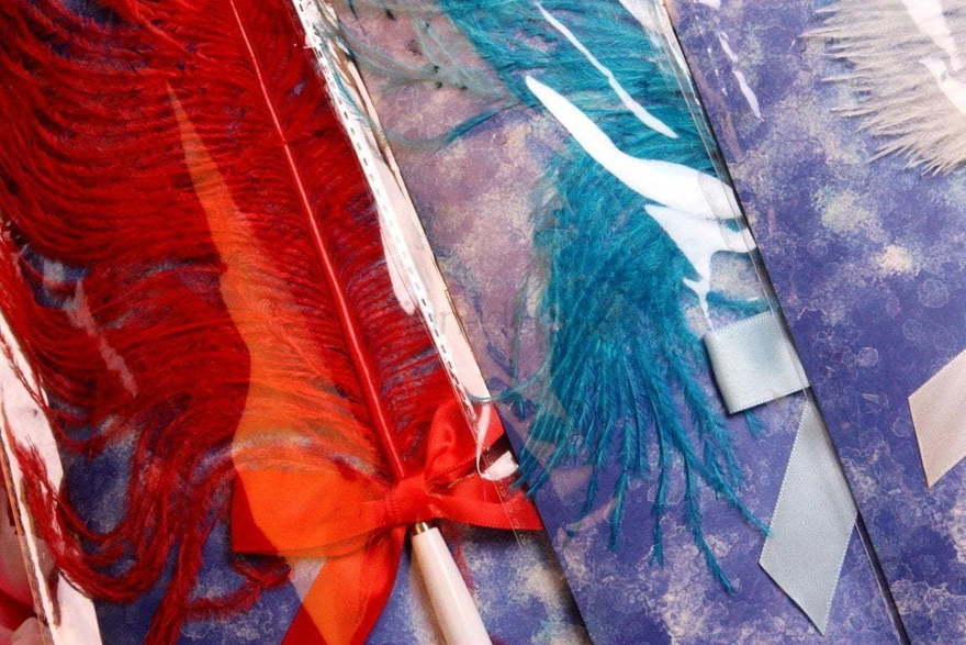 Перья для росписи от  5