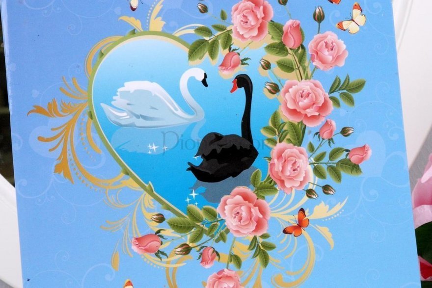 Папка Пара лебедей от  2