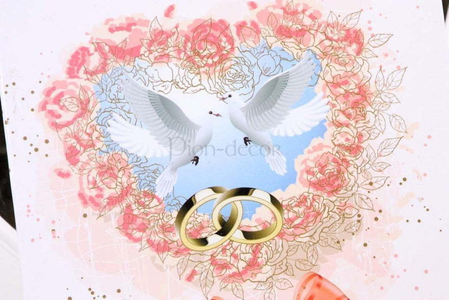 Папка Красный бантик от  2