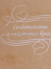 Плюшевая папка Тедди от  2