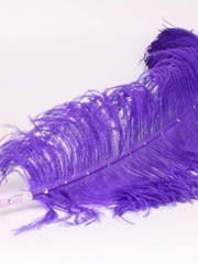 Перо для пожеланий от  1