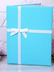 Папка Tiffany & Co от  1