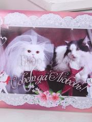 Наклейка Котики от  1