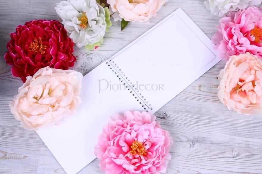 Альбом с нежным рисунком Небесно голубой от  2