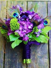 Перья павлина для оформления от  2