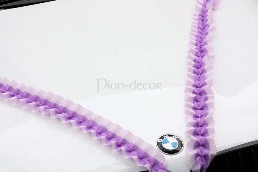 Кружевная лента на авто - органза(любые цвета) от  3