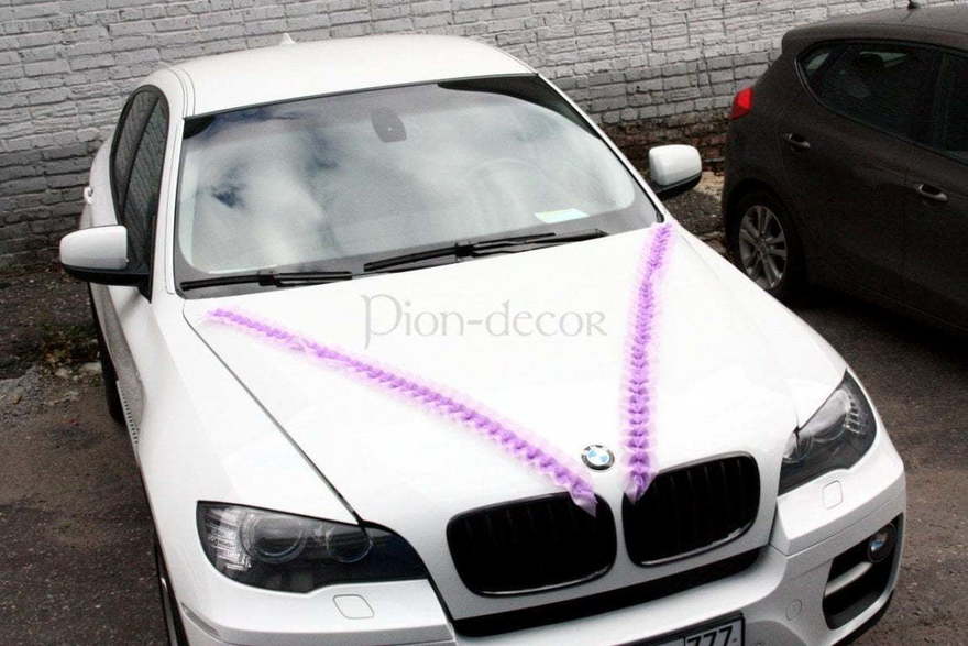 Кружевная лента на авто - органза(любые цвета) от  6