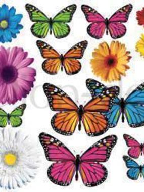 Апкликация Цветочки и бабочки от  1