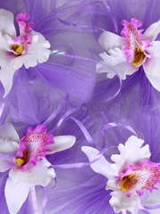 Свадебные аксессуары на машину от  1