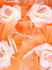 Декор ручек авто от  1