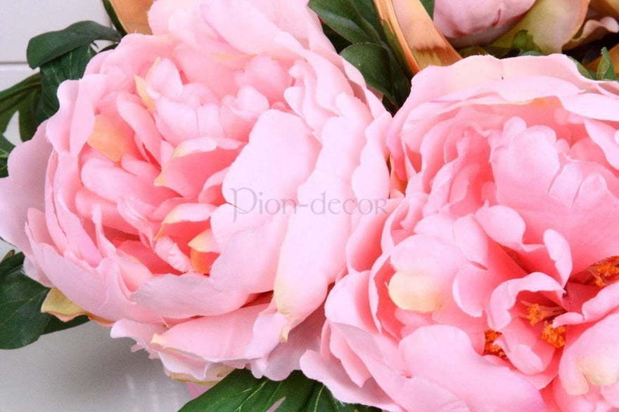 Пионы на авто Нежно розовые от  3