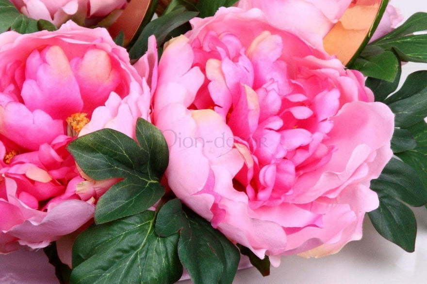 Пионы на авто Розовые от  3