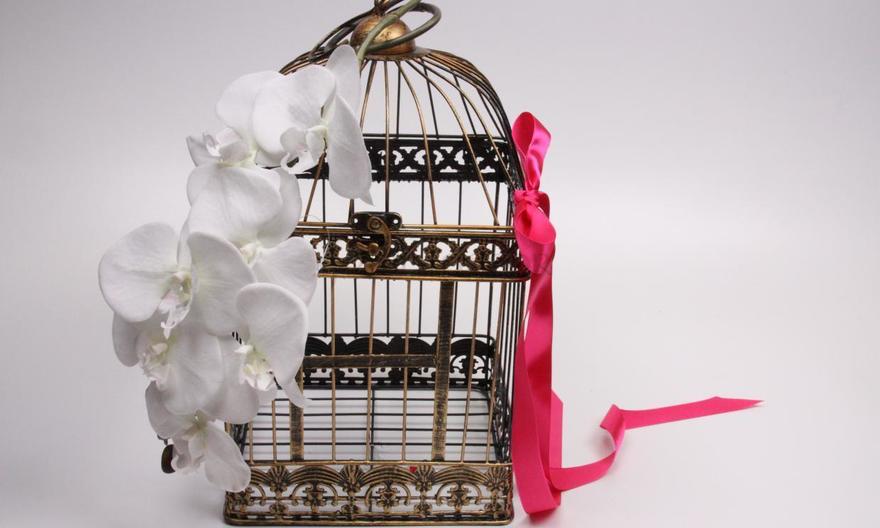 Большая темная клетка от  2