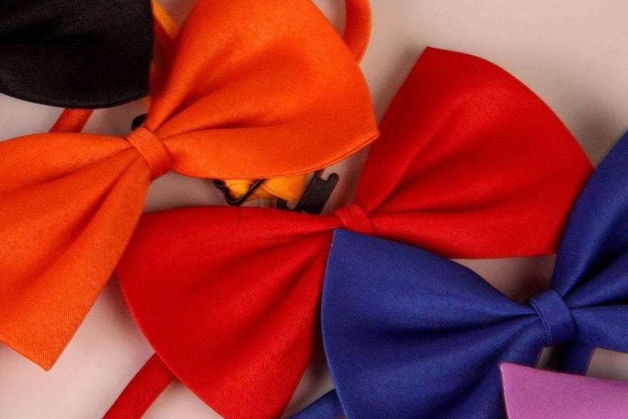 Бабочки для свадебных животных от  3