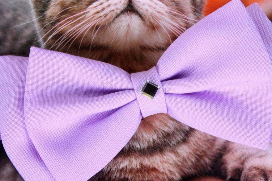 Свадебная бабочка Лаванда для кошек и собак от  2