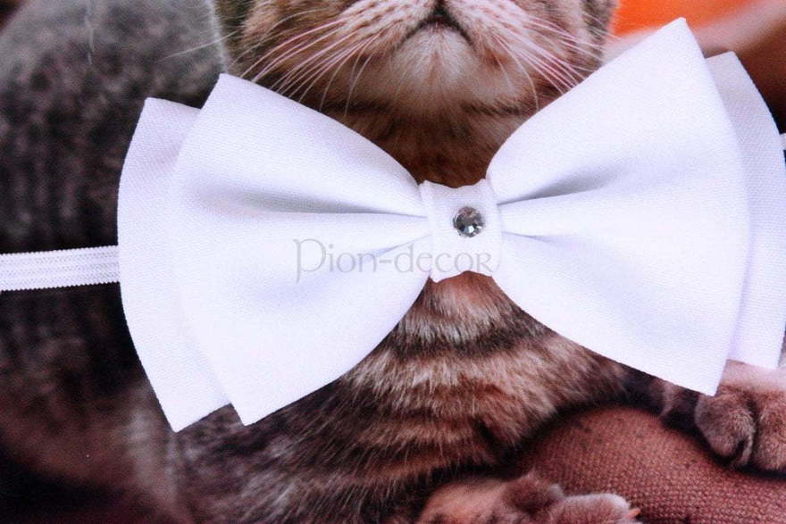 Свадебная бабочка Белая для кошек и собак от  2