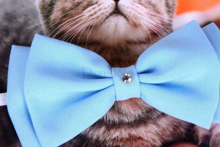 Свадебная бабочка Голубая для кошек и собак от  2