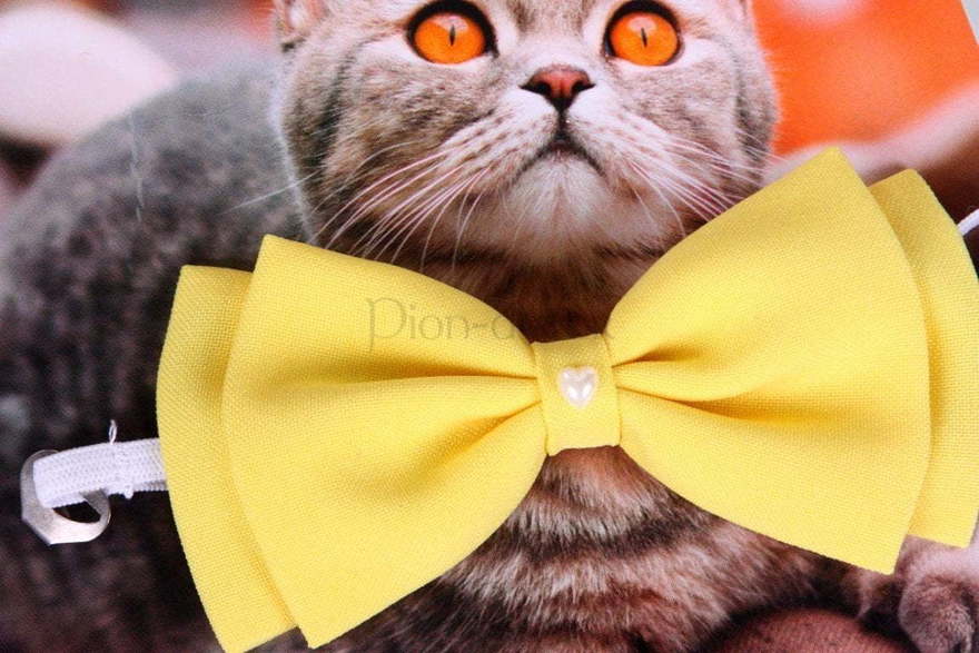 Свадебная бабочка Желтая для кошек и собак от  2