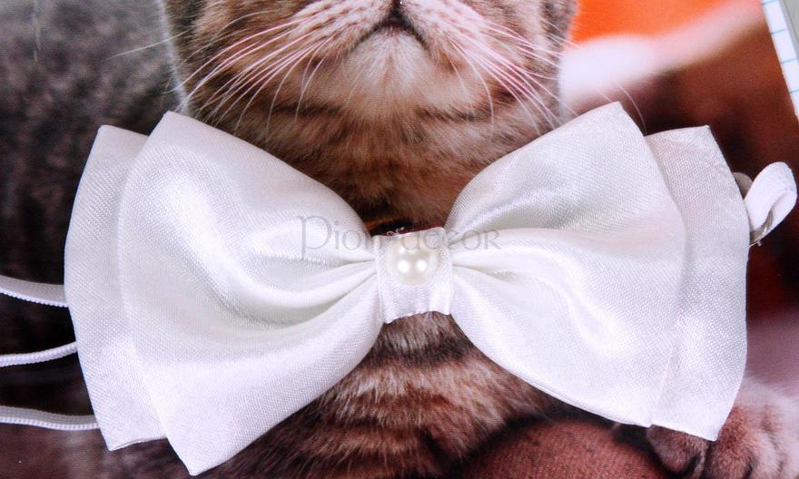 Свадебная бабочка Айвори атлас для кошек и собак от  2