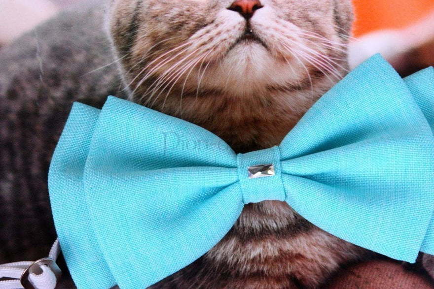 Свадебная бабочка Тиффани для кошек и собак от  2