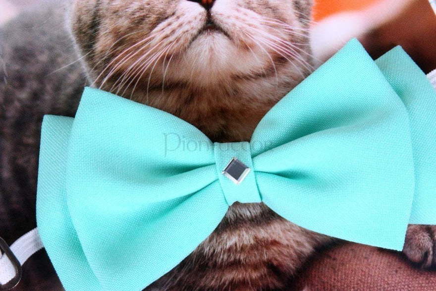 Свадебная бабочка Мята для кошек и собак от  2