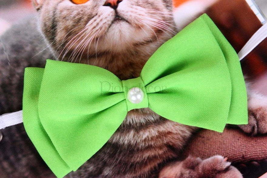 Свадебная бабочка Яблочная для кошки или собаки от  2