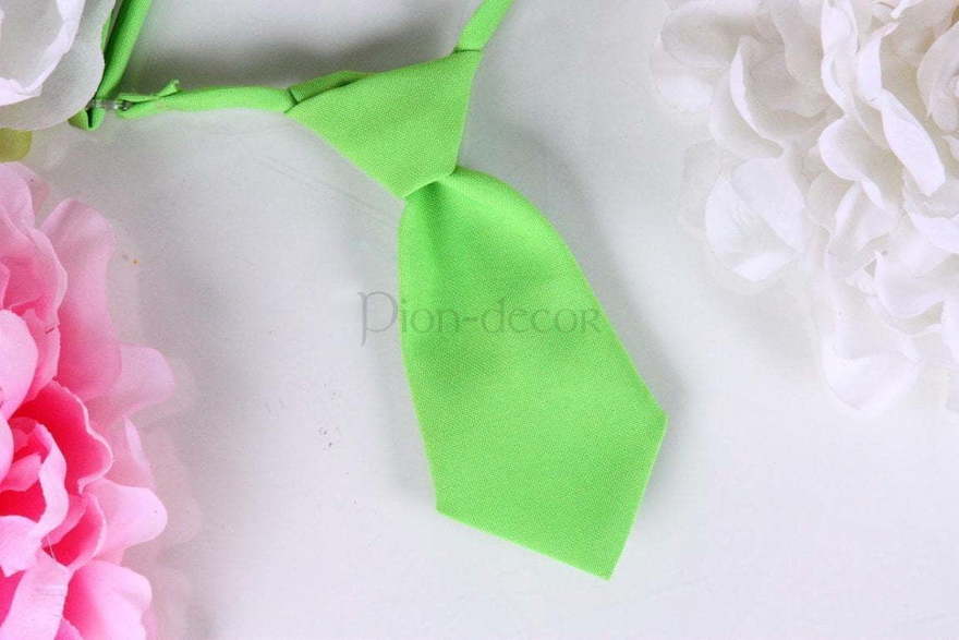 Галстук Яблочный для свадебных животных от  3