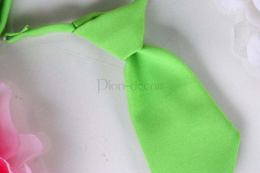 Галстук Яблочный для свадебных животных от  4