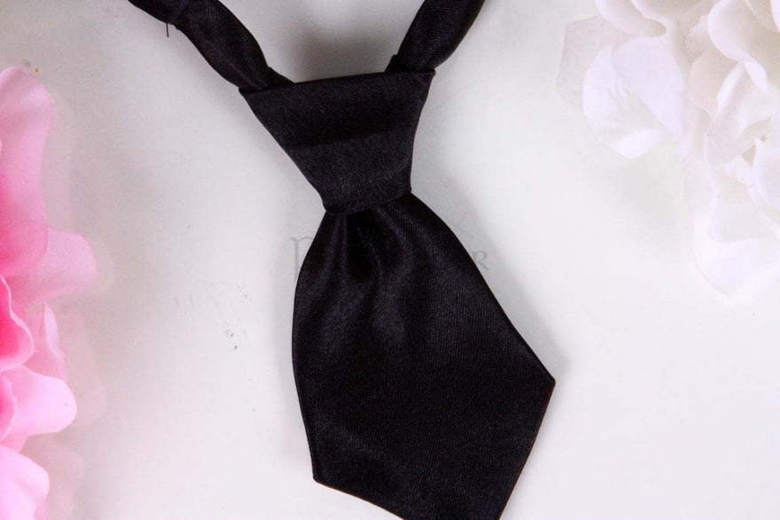 Галстук Черный атлас для свадебных кошек и собак от  4