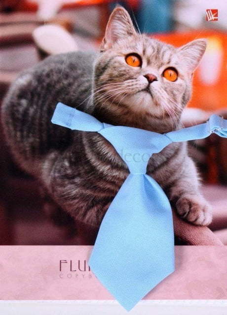 Свадебный галстук Лаванда для кошки или собаки от  5