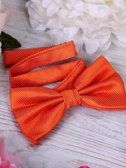 Бабочка Оранжевая от  1