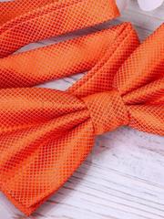 Бабочка Оранжевая от  2