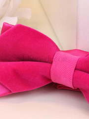 Бархатная бабочка Pink от  2