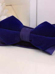 Бархатная бабочка Индиго от  1