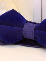 Бархатная бабочка Индиго от  2