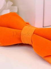 Бархатная бабочка Orange от  2