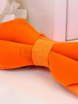 Бархатная бабочка Orange от  2