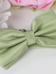 Бабочка Нежно зеленая от  1