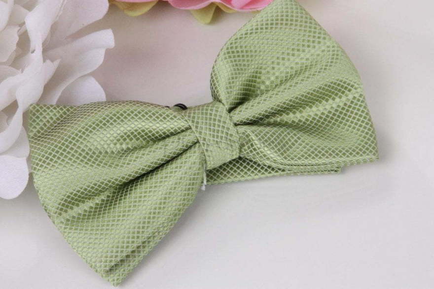 Бабочка Нежно зеленая от  2