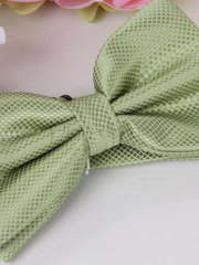 Бабочка Нежно зеленая от  2