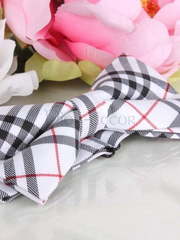 Бабочка Роскошная клетка от  1