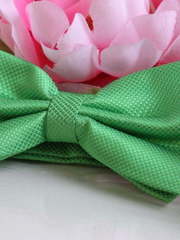 Бабочка Яблочная от  1