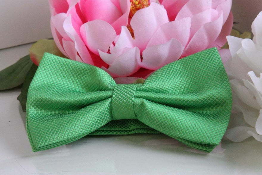 Бабочка Яблочная от  2